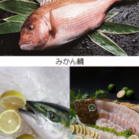 柑橘＋魚＝？